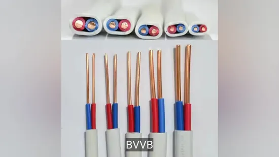 Customized X-Ring Standard HNBR Seal Ring Colored X Ring