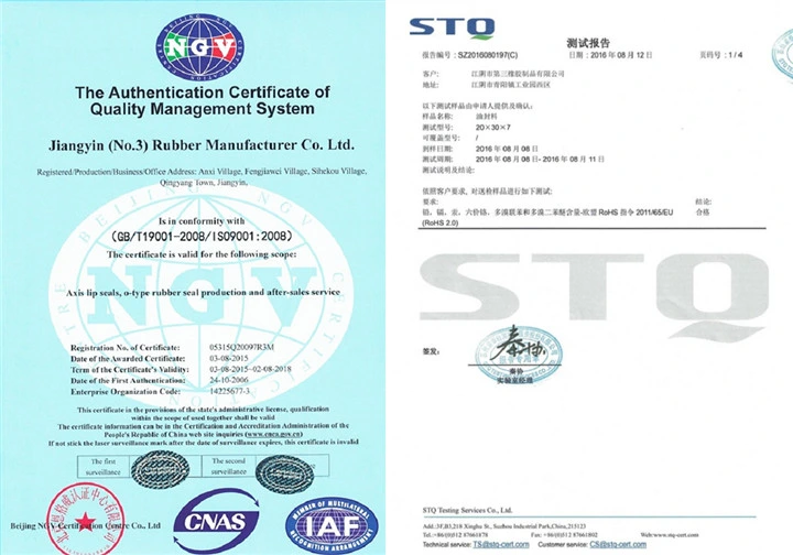 OEM Ageing Resistance EPDM Water-Proof Rubber O Ring