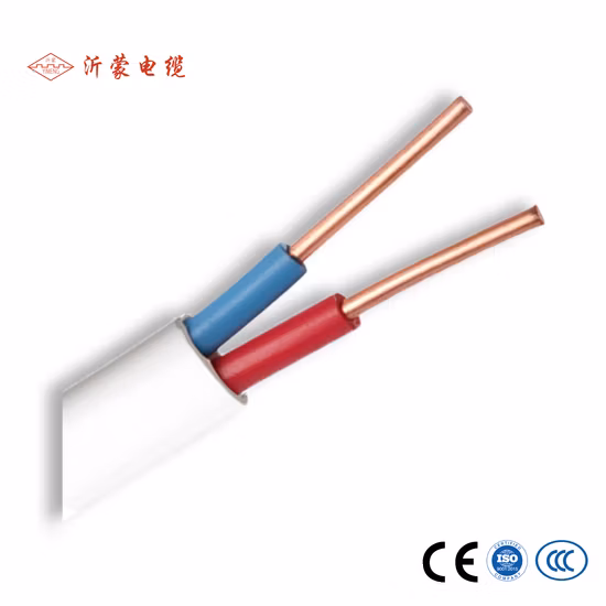 Customized X-Ring Standard HNBR Seal Ring Colored X Ring