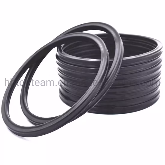 Chemical Resistant Star O Rings Rotary Shaft Lip Seal FKM X