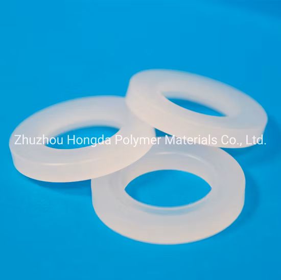 PCTFE Plastic Seat Ring for Sealing Application
